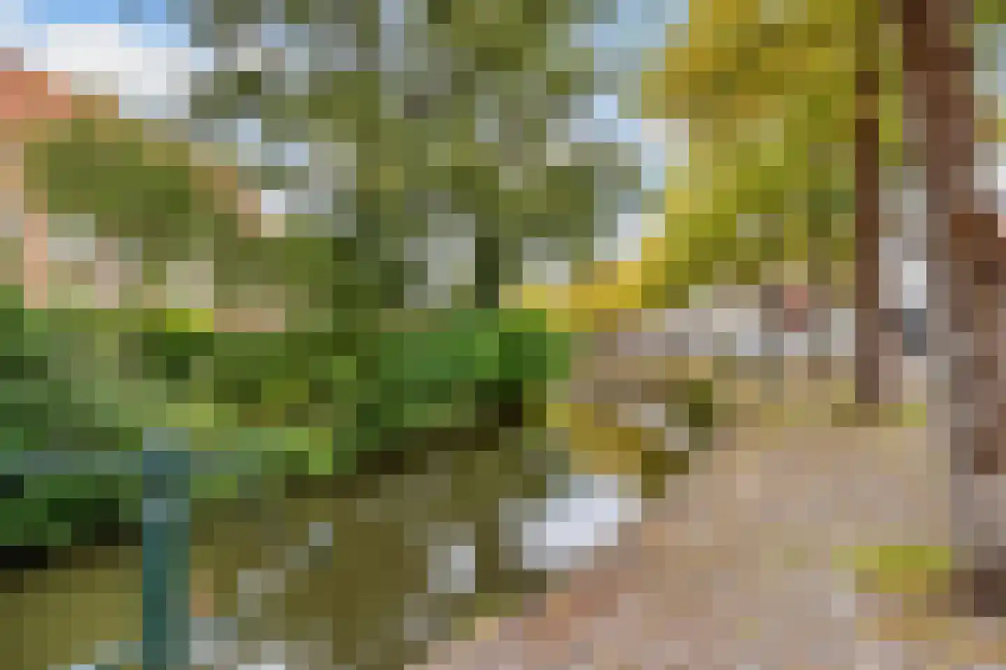 Sint Janskerkhof 37 Amersfoort thumbnail 45