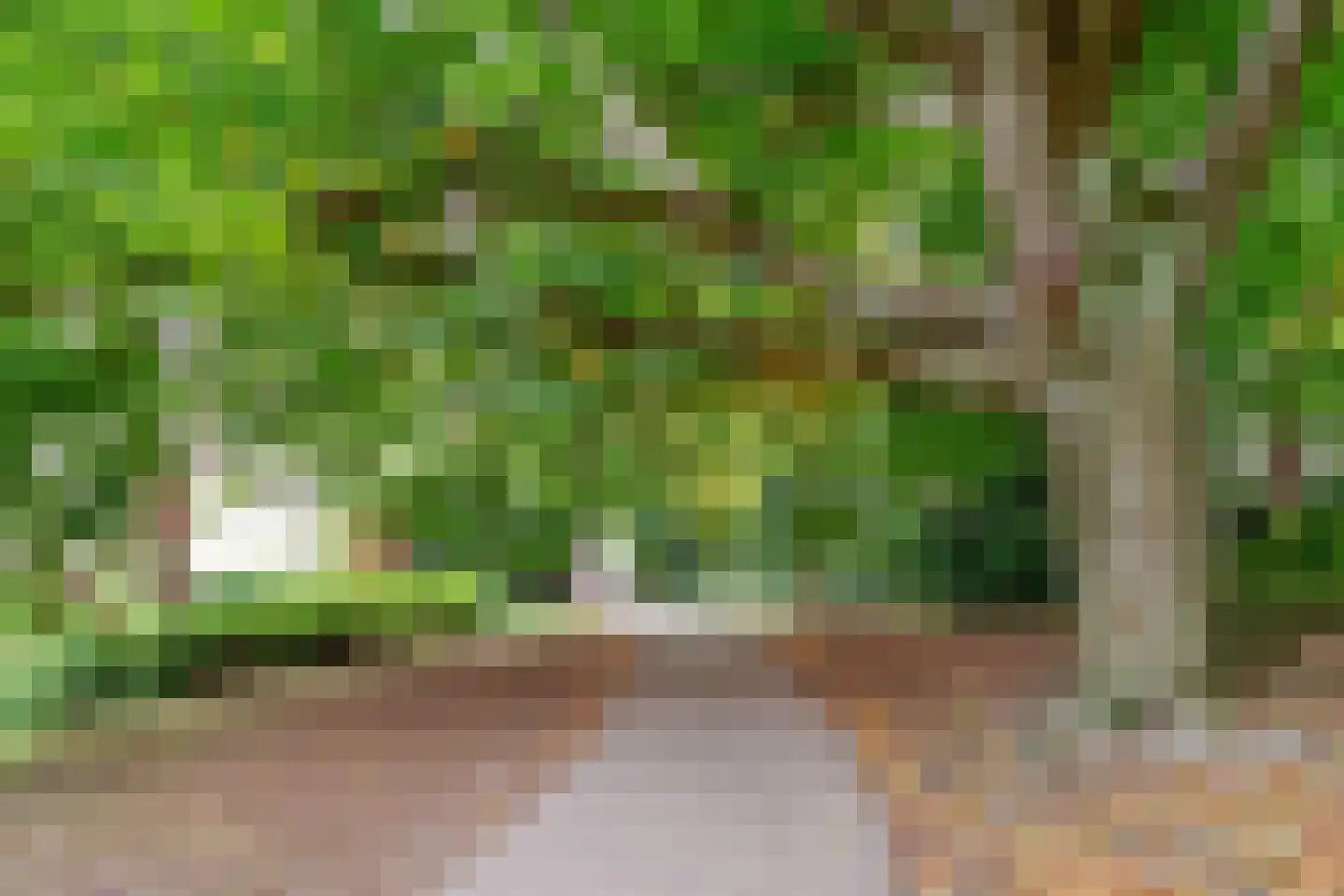 Sint Janskerkhof 37 Amersfoort thumbnail 47