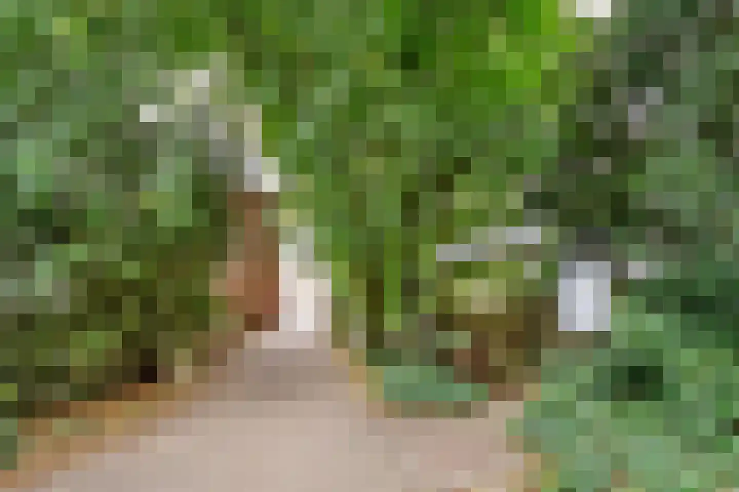 Sint Janskerkhof 37 Amersfoort thumbnail 48