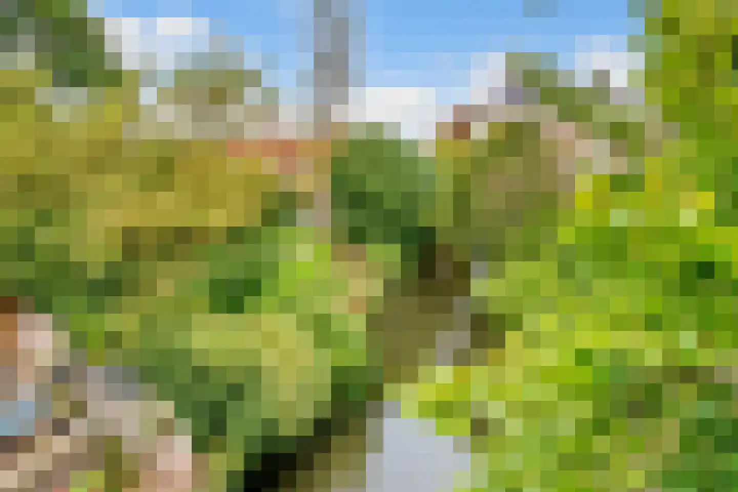 Sint Janskerkhof 37 Amersfoort thumbnail 49