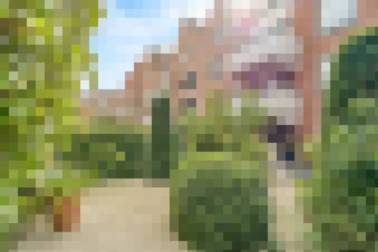 Sint Janskerkhof 44 Amersfoort thumbnail 16