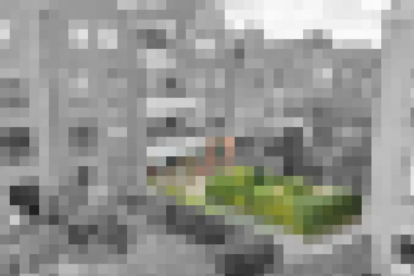 Sint Janskerkhof 44 Amersfoort thumbnail 20