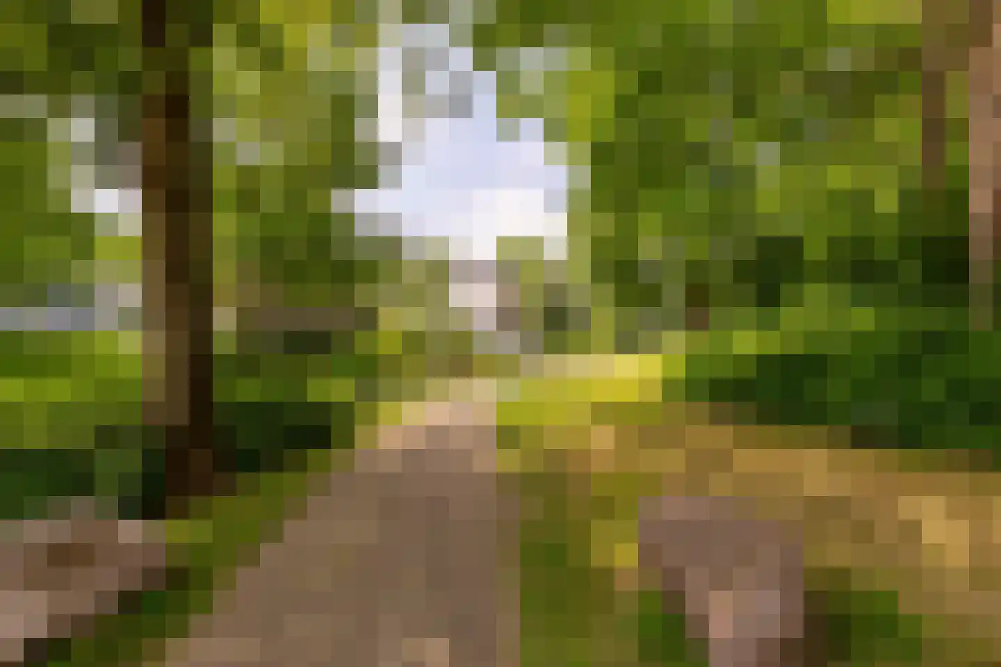 Sint Janskerkhof 45 Amersfoort thumbnail 40