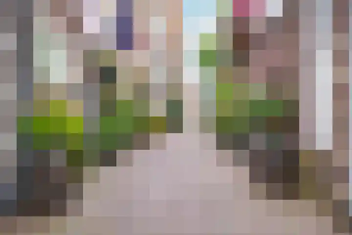 Sint Janskerkhof 47 Amersfoort thumbnail 35