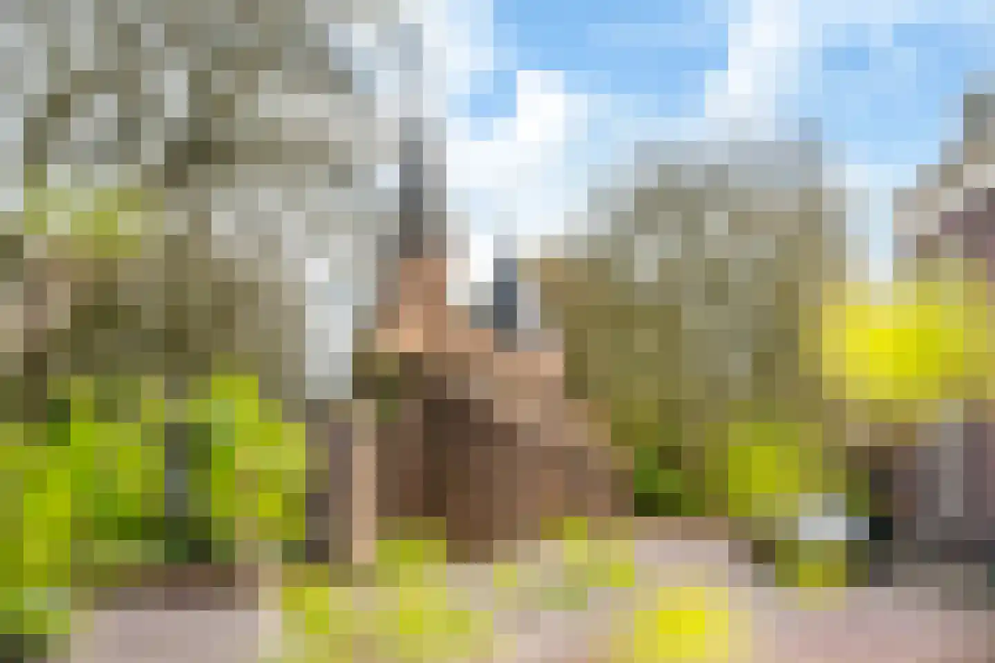 Sint Janskerkhof 49 Amersfoort thumbnail 29