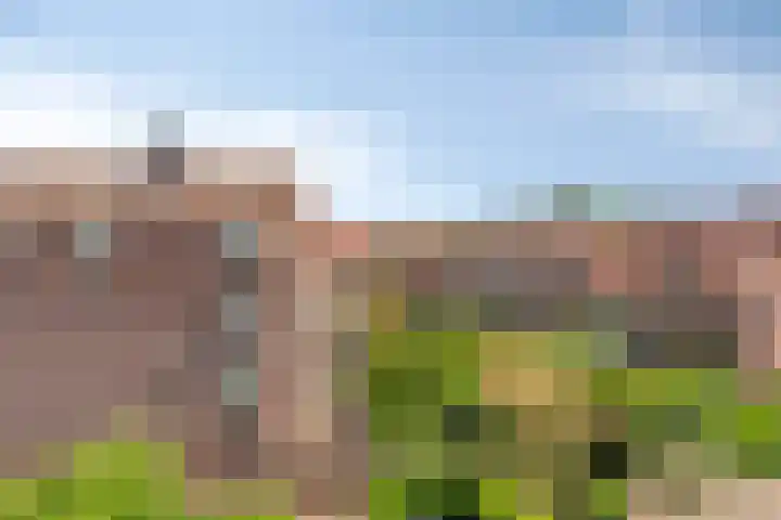 Sint Janskerkhof 56 Amersfoort thumbnail 21