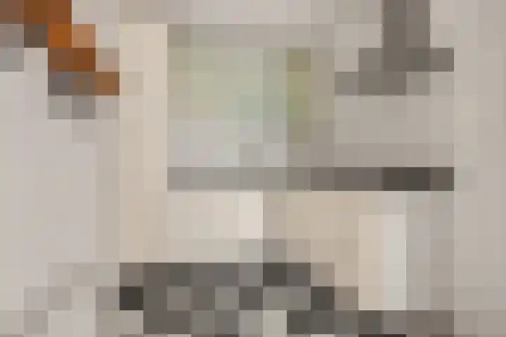 Sint Janskerkhof 75 Amersfoort thumbnail 16