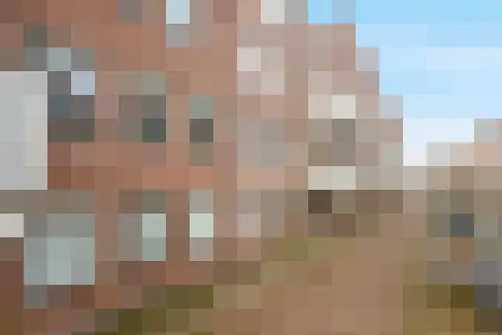 Sint Janskerkhof 75 Amersfoort thumbnail 6