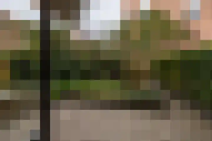Sint Janskerkhof 76 Amersfoort thumbnail 20