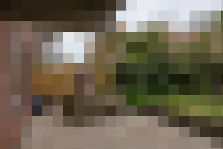 Sint Janskerkhof 76 Amersfoort thumbnail 21