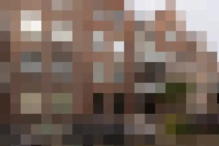 Sint Janskerkhof 76 Amersfoort thumbnail 26