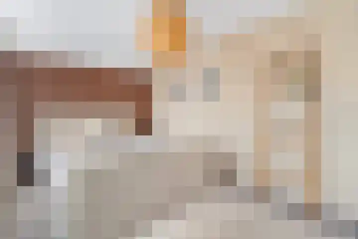 Sint Janskerkhof 8 Amersfoort thumbnail 19