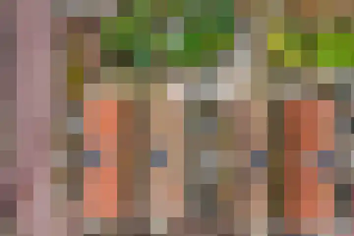 Sint Janskerkhof 8 Amersfoort thumbnail 39