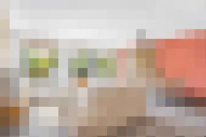 Sint Janskerkhof 8 Amersfoort thumbnail 4
