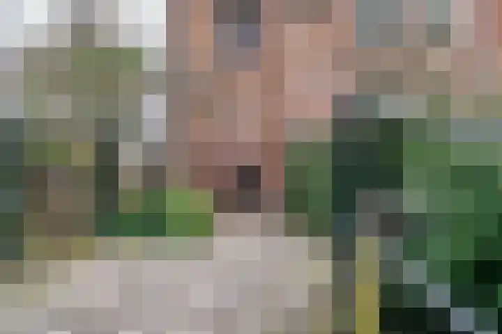 Sint Janskerkhof 8 Amersfoort thumbnail 43