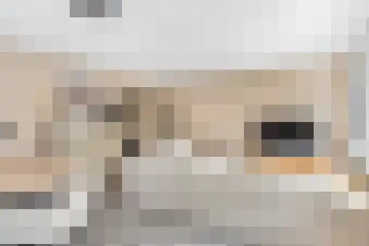 Sint Janskerkhof 8 Amersfoort thumbnail 8