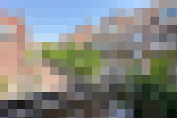 Sint Janskerkhof 94 Amersfoort thumbnail 19