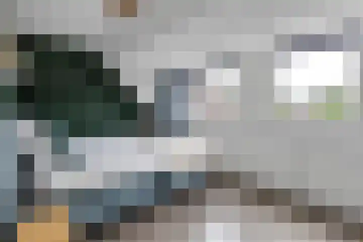 Sint Janskruid 10 Helvoirt thumbnail 13