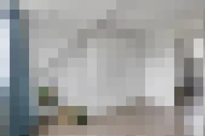 Sint Janskruid 10 Helvoirt thumbnail 15