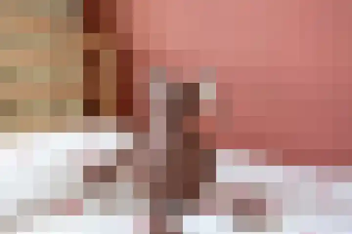 Sint Janskruid 10 Helvoirt thumbnail 18