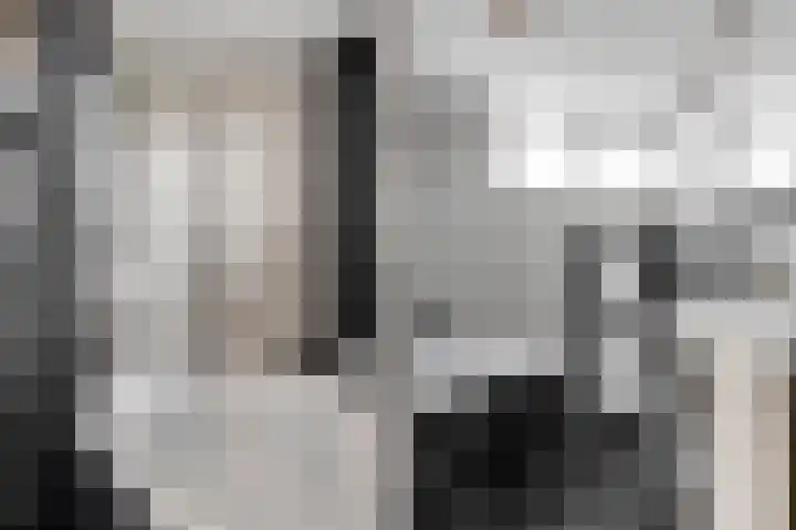 Sint Janskruid 10 Helvoirt thumbnail 21