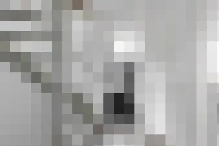 Sint Janskruid 10 Helvoirt thumbnail 22