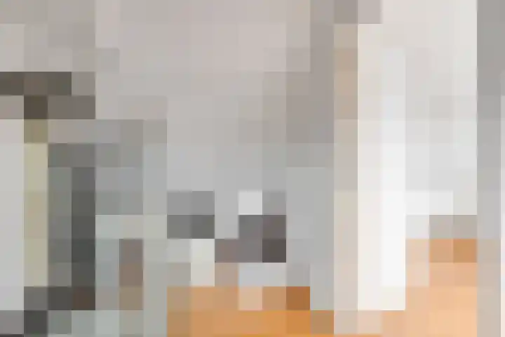 Sint Janskruid 10 Helvoirt thumbnail 24