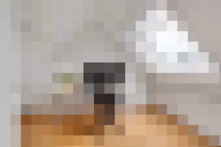 Sint Janskruid 10 Helvoirt thumbnail 25