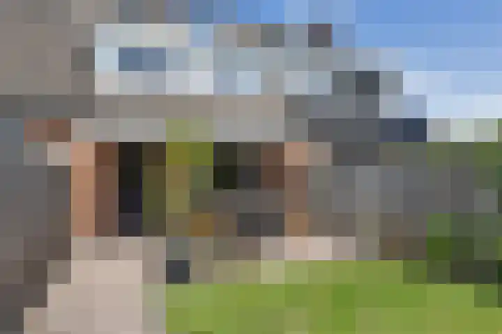 Sint Janskruid 10 Helvoirt thumbnail 27