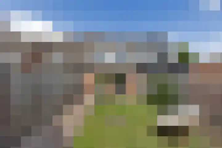 Sint Janskruid 10 Helvoirt thumbnail 28