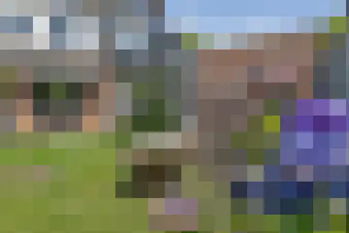 Sint Janskruid 10 Helvoirt thumbnail 29