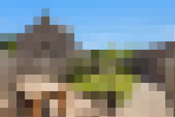 Sint Janskruid 10 Helvoirt thumbnail 30