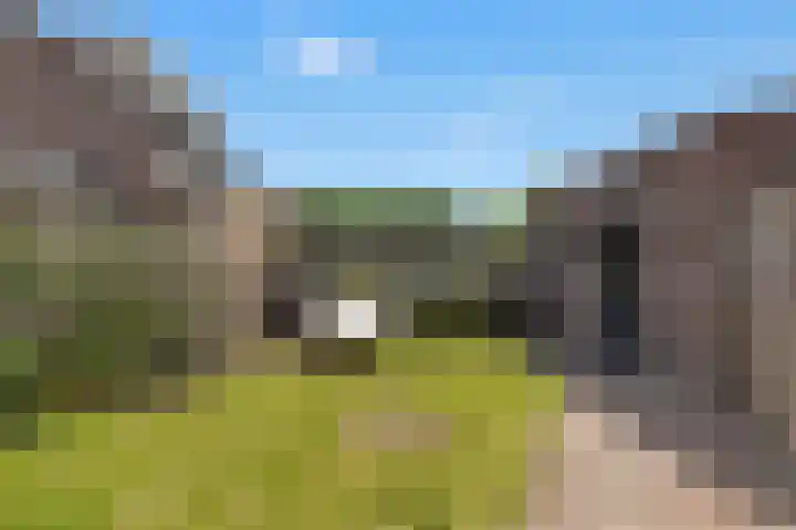 Sint Janskruid 10 Helvoirt thumbnail 31