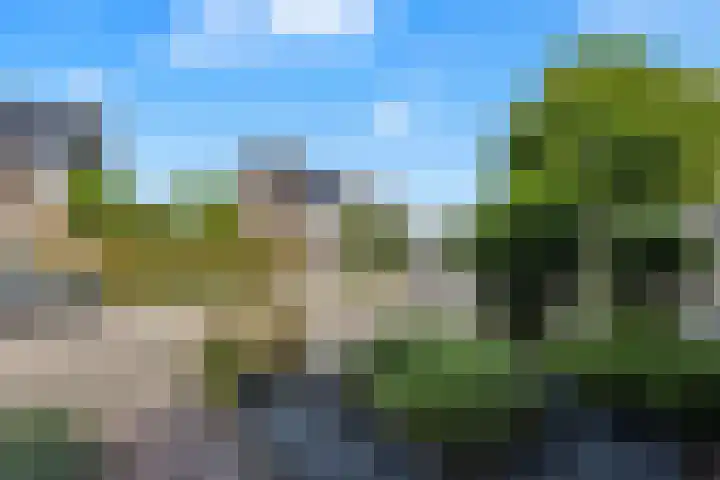 Sint Janskruid 10 Helvoirt thumbnail 34