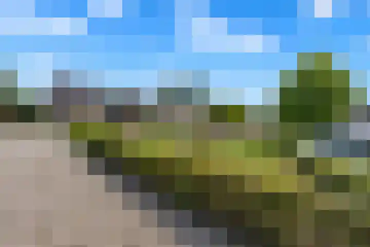 Sint Janskruid 10 Helvoirt thumbnail 35