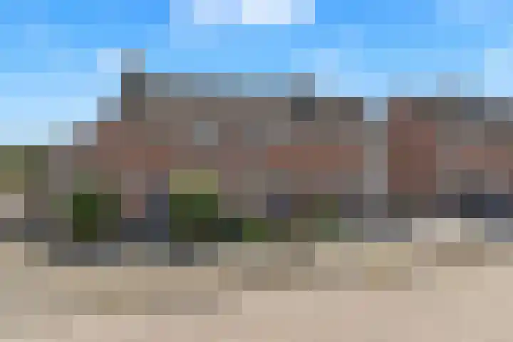 Sint Janskruid 10 Helvoirt thumbnail 36