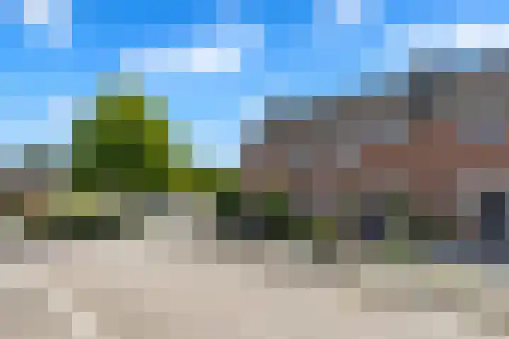 Sint Janskruid 10 Helvoirt thumbnail 37