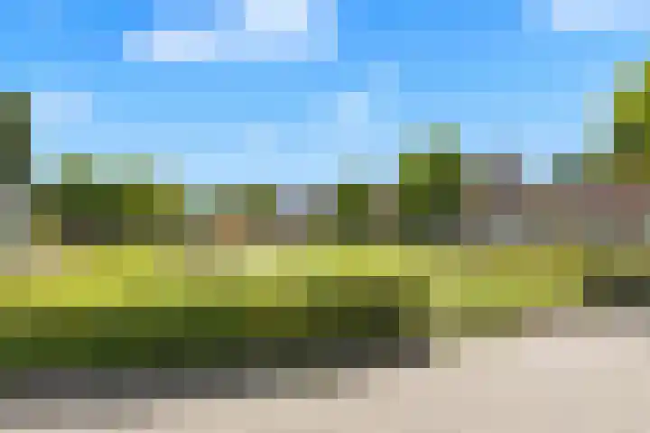 Sint Janskruid 10 Helvoirt thumbnail 38