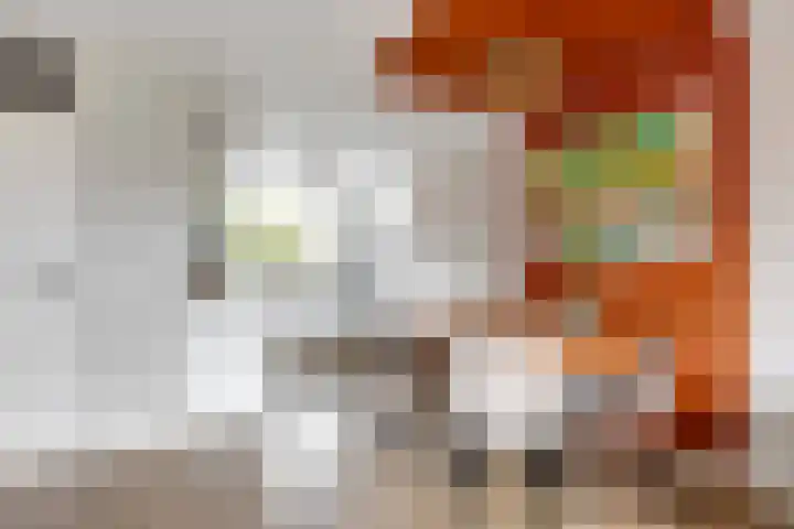 Sint Janskruid 10 Helvoirt thumbnail 6