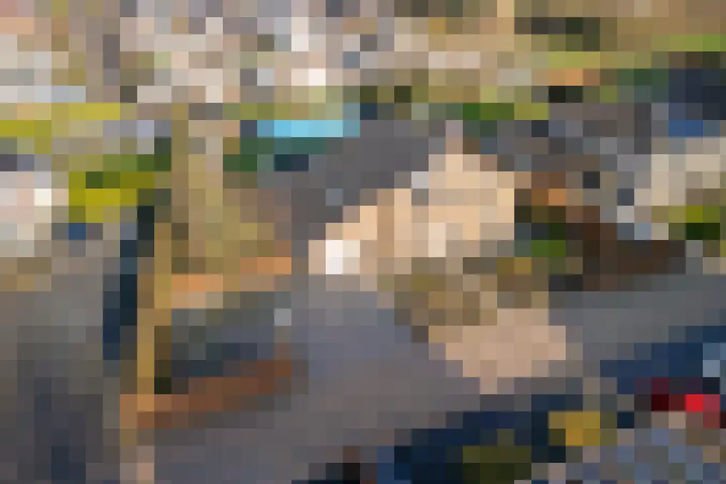 Sint-Janskruid 15 Berghem thumbnail 46