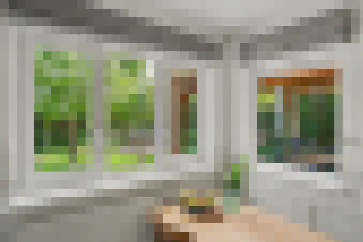 Sint Janskruid 3 Helvoirt thumbnail 15