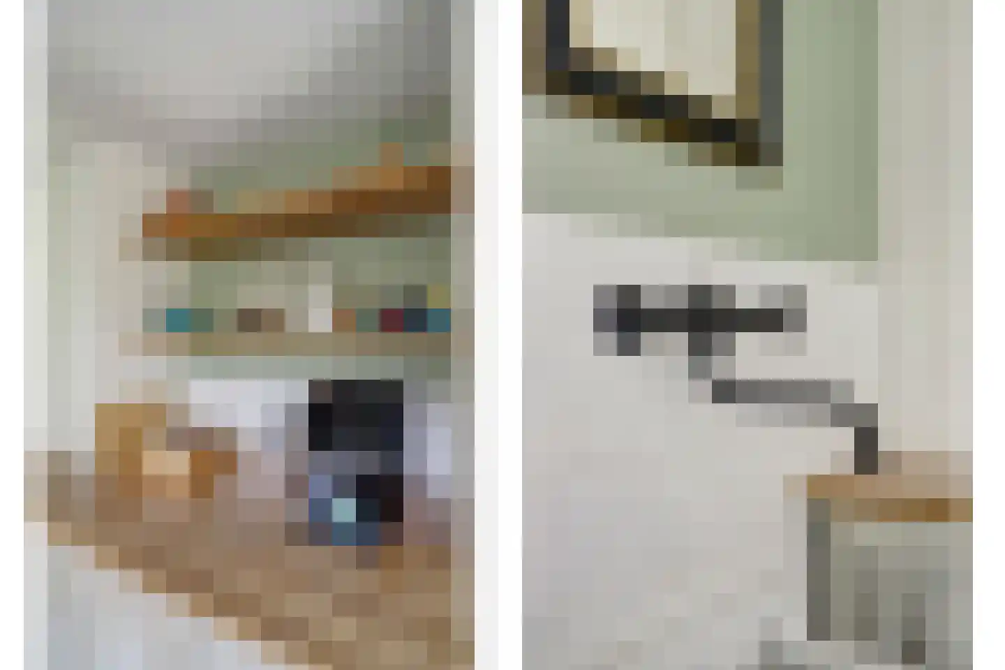Sint Janskruid 3 Helvoirt thumbnail 20