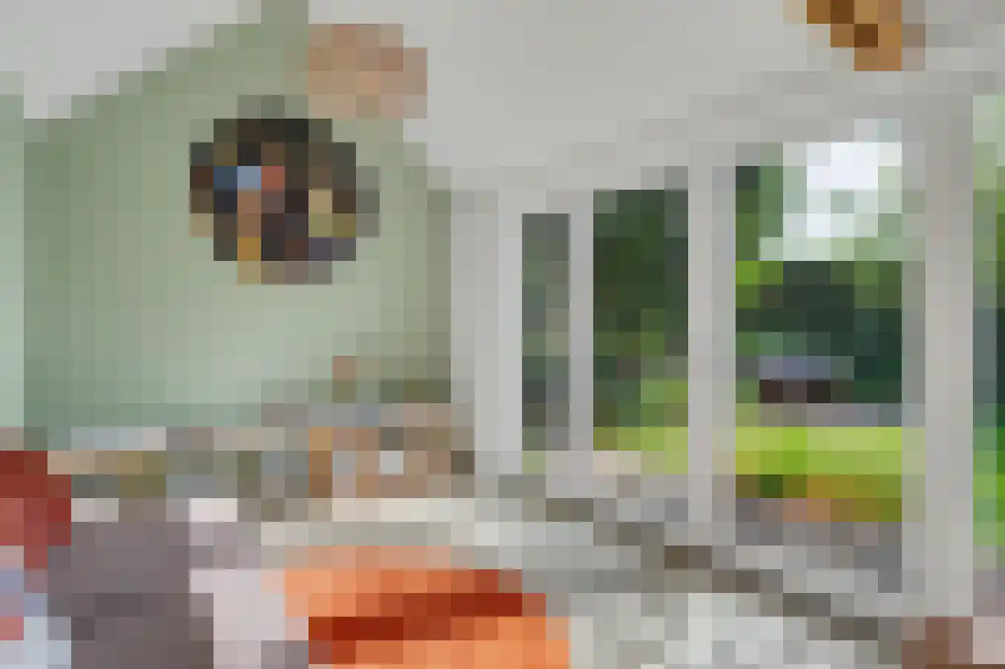 Sint Janskruid 3 Helvoirt thumbnail 22