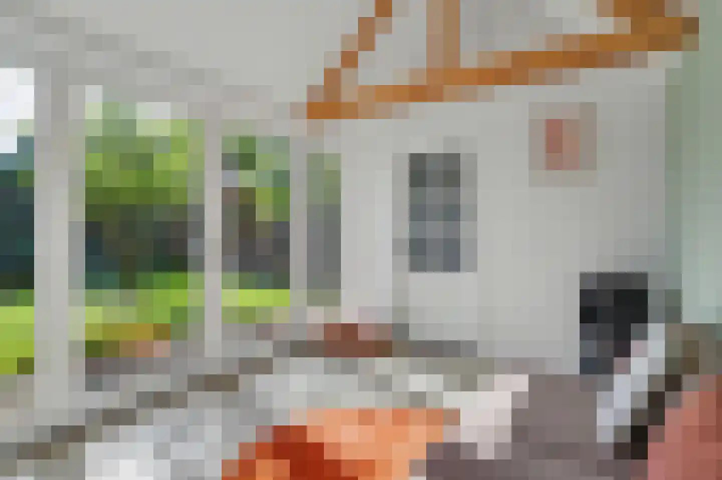 Sint Janskruid 3 Helvoirt thumbnail 23