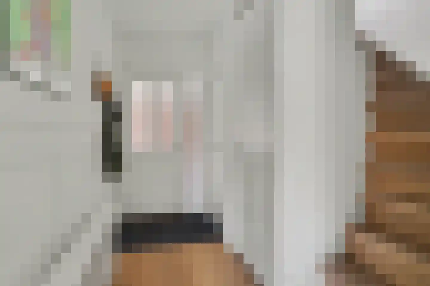 Sint Janskruid 3 Helvoirt thumbnail 26