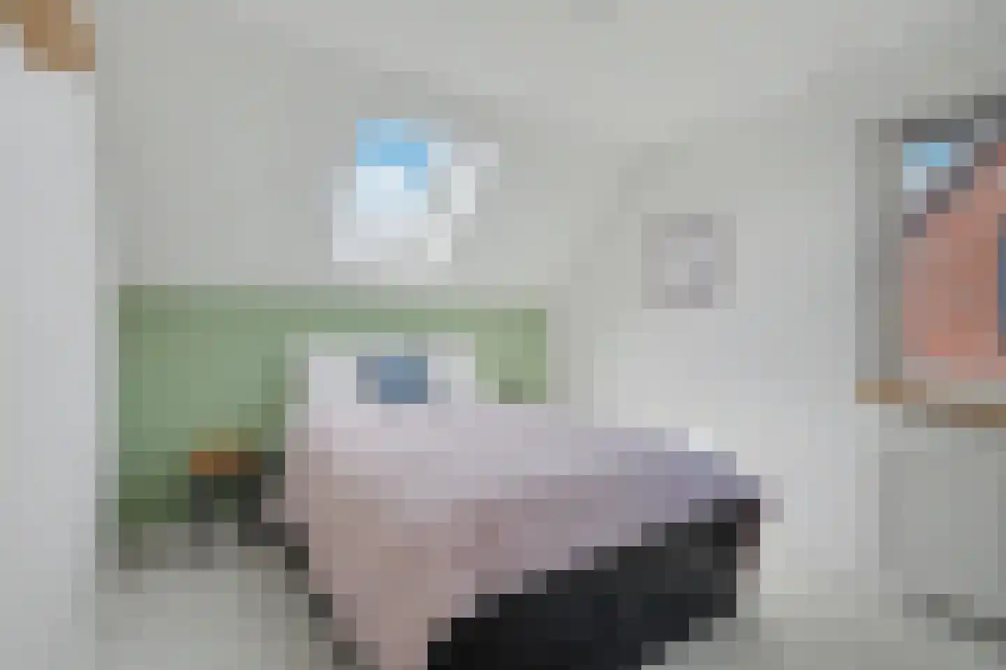 Sint Janskruid 3 Helvoirt thumbnail 31