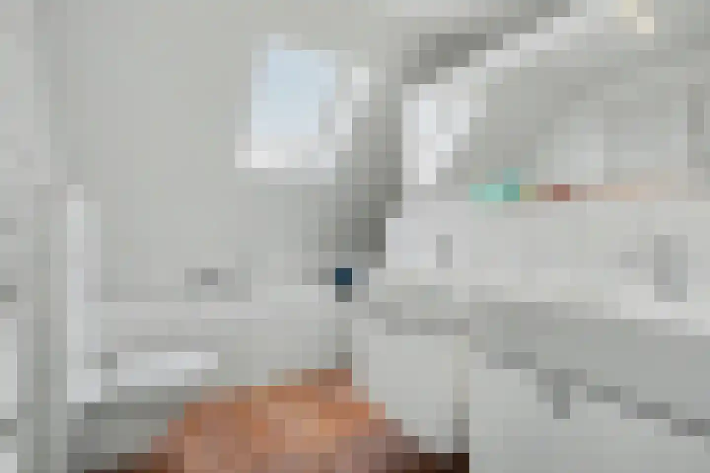 Sint Janskruid 3 Helvoirt thumbnail 35