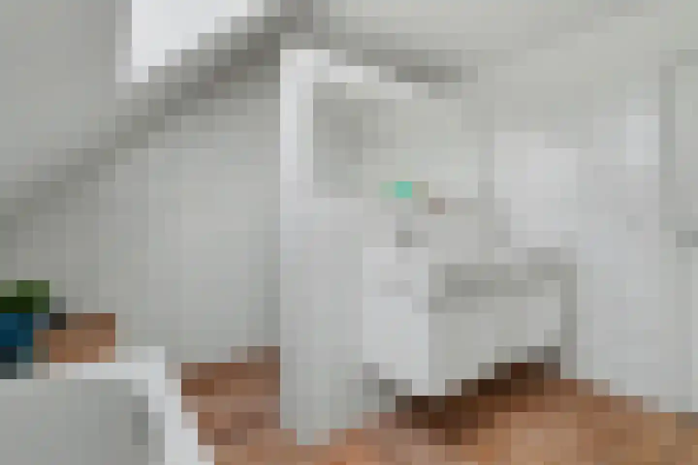 Sint Janskruid 3 Helvoirt thumbnail 37