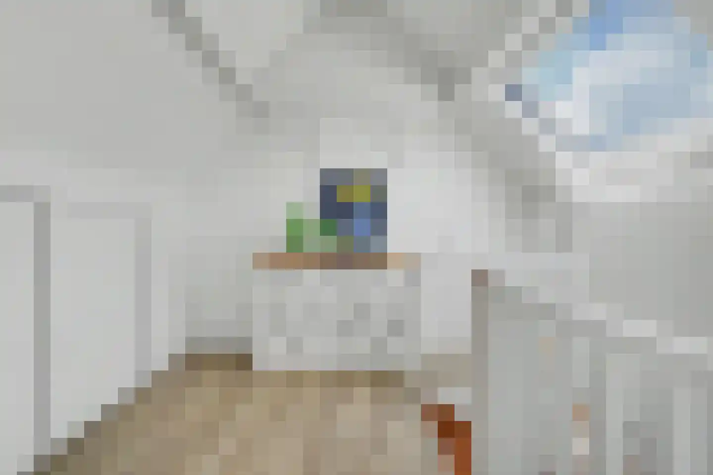 Sint Janskruid 3 Helvoirt thumbnail 39