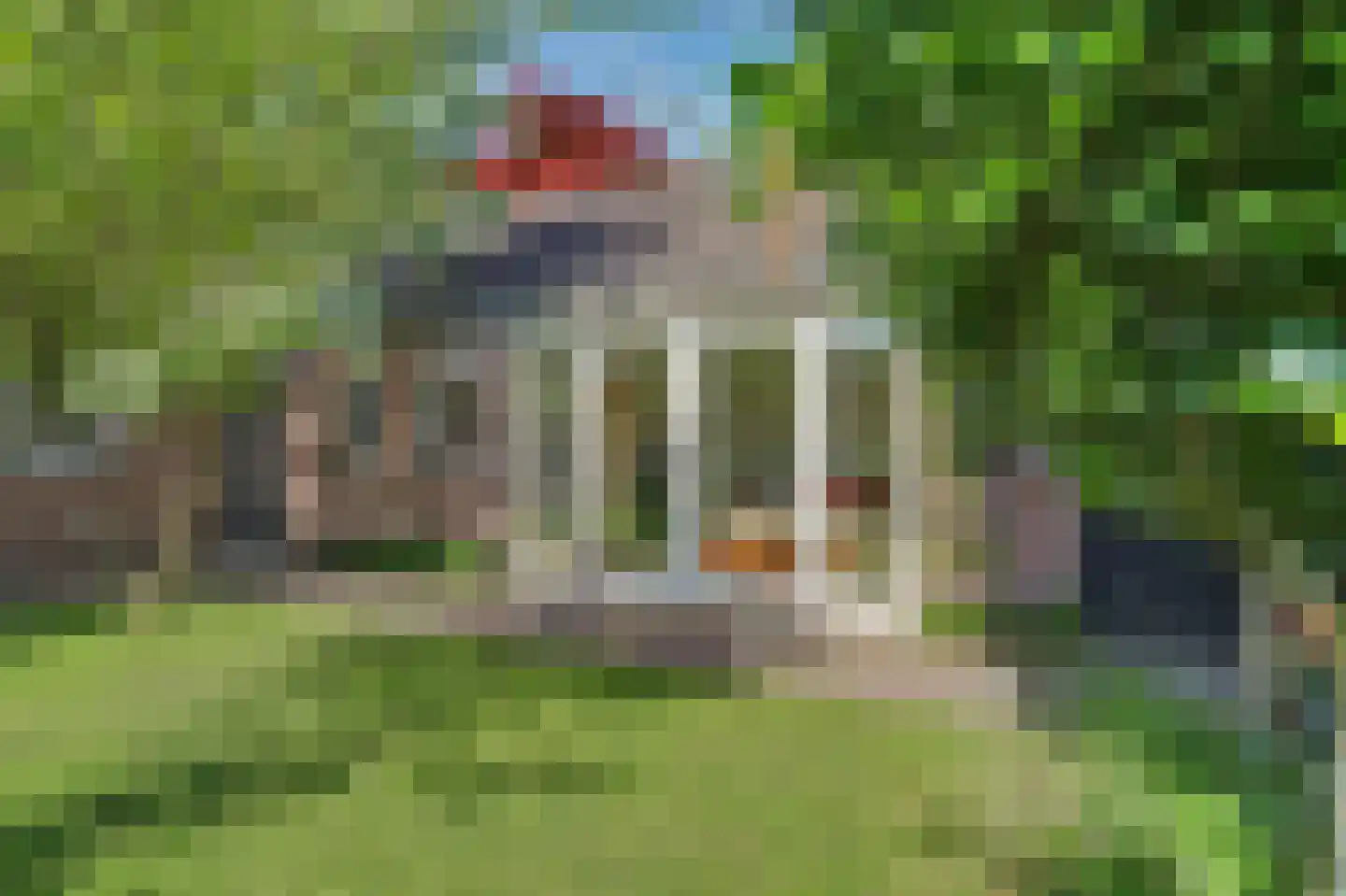 Sint Janskruid 3 Helvoirt thumbnail 4